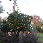 Sweet Hostel&guest House * Braga