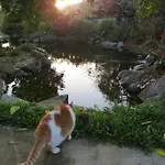 Auberge de jeunesse Sweet Hostel&guest House