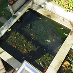 Sweet Hostel&guest House Auberge de jeunesse *