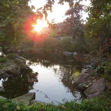 布拉加甜蜜的家旅舍 旅馆 布拉加