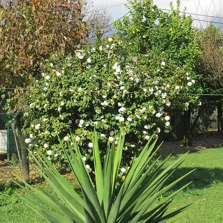 布拉加甜蜜的家旅舍