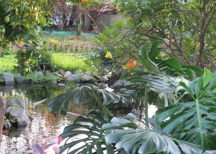 Auberge de jeunesse Sweet Hostel&guest House Braga