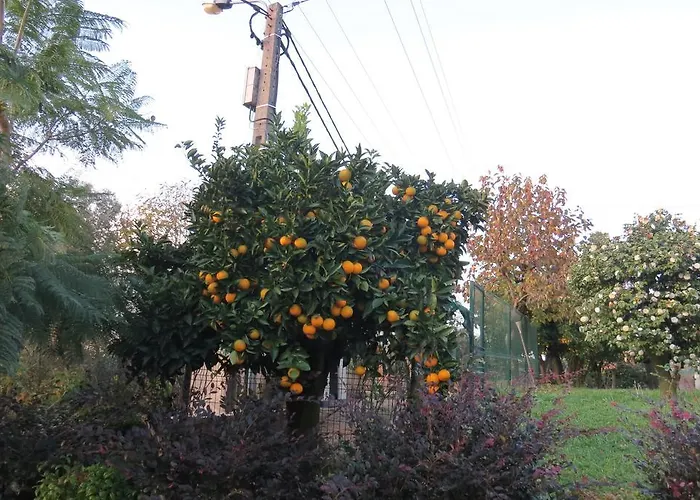 Sweet Hostel&guest House * Braga